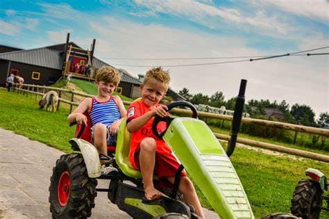Speel- & IJsboerderij de Drentse Koe